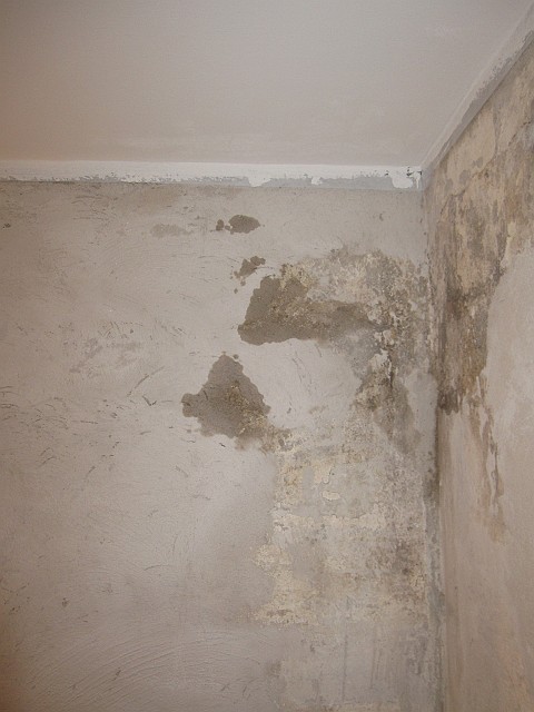 2011-09_07_ 206